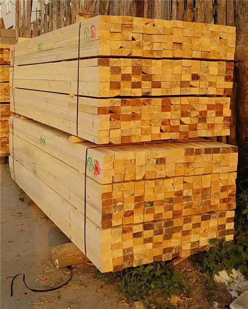 山东建筑工地方木与广西钦州汇森建材报价解析